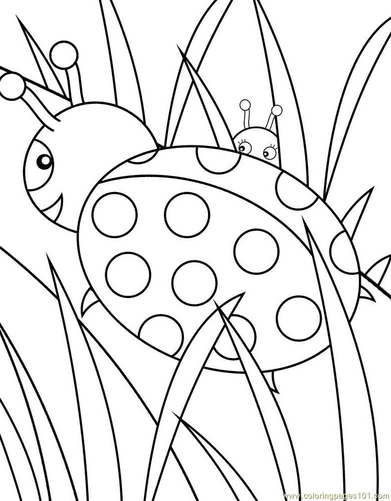 Coloring Pages Booklets (Insects > ladybugs) - free printable