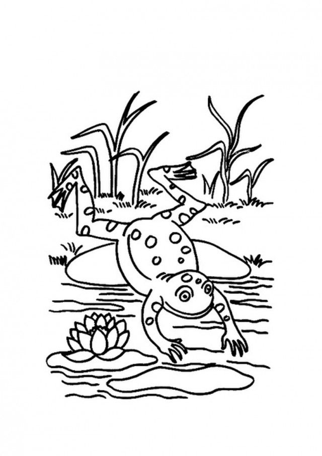 Frog Jumping Coloring Sheets Free Coloring Pages 212553 Coloring