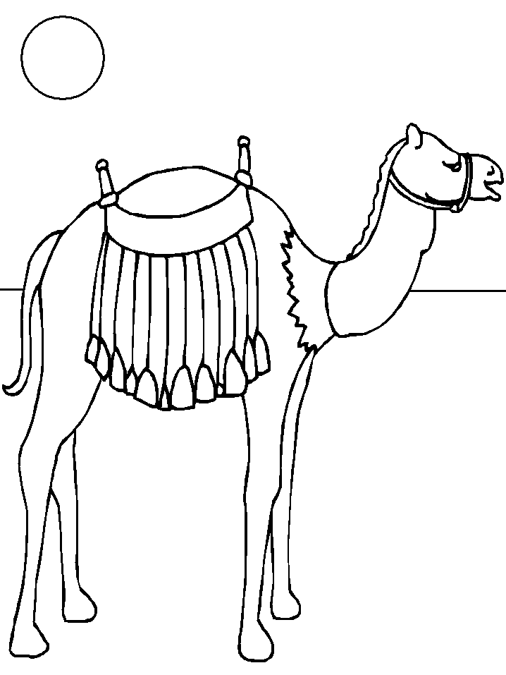 Printable Camel7 Animals Coloring Pages 