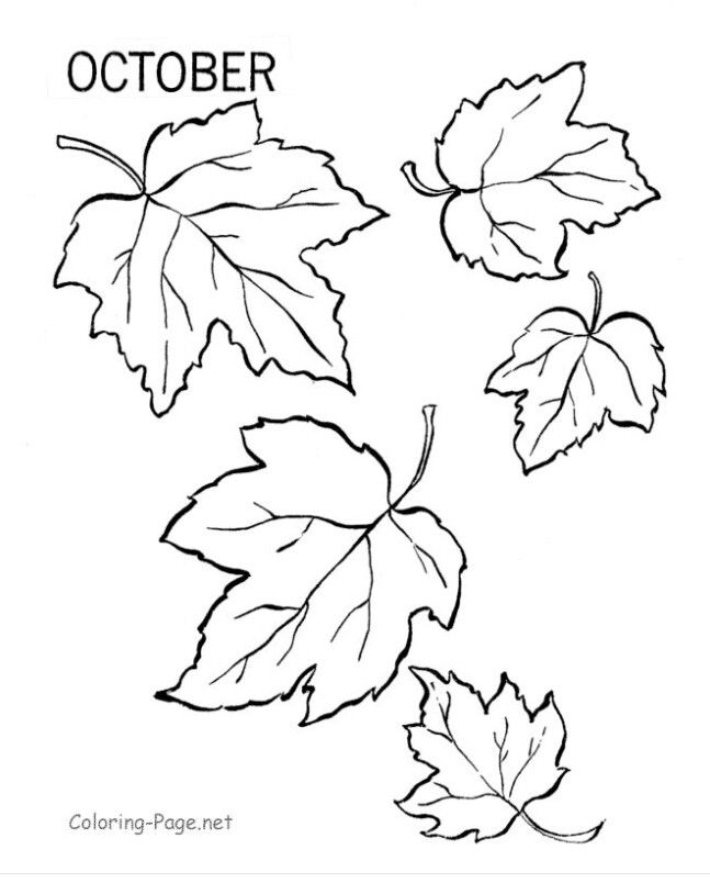 Fall Leaves Printable | Printables