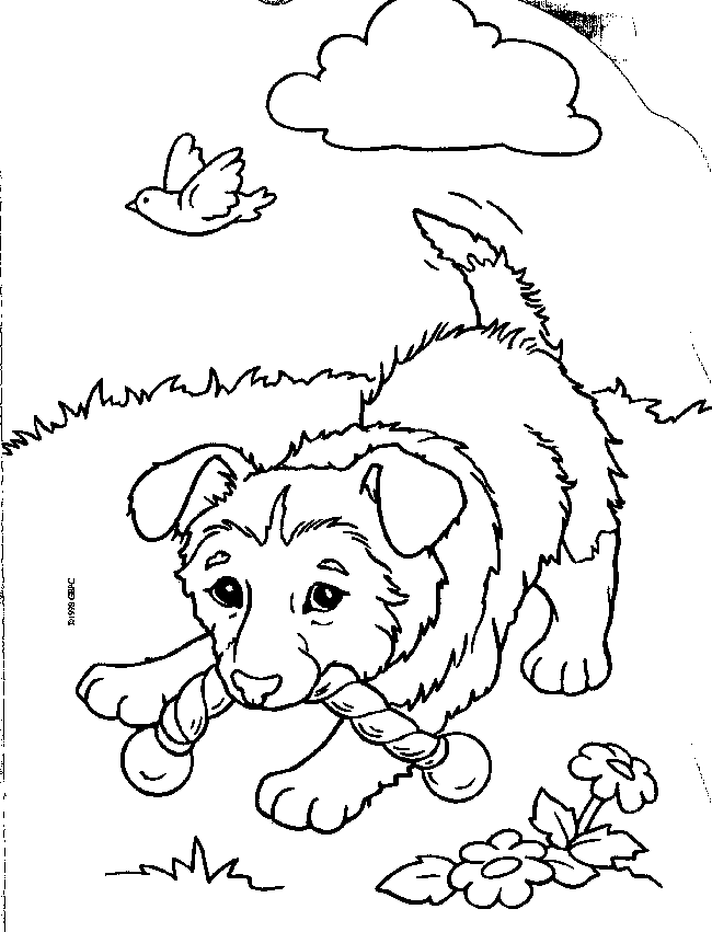 Puppy Coloring Pages | All Puppies Pictures and Wallpapers