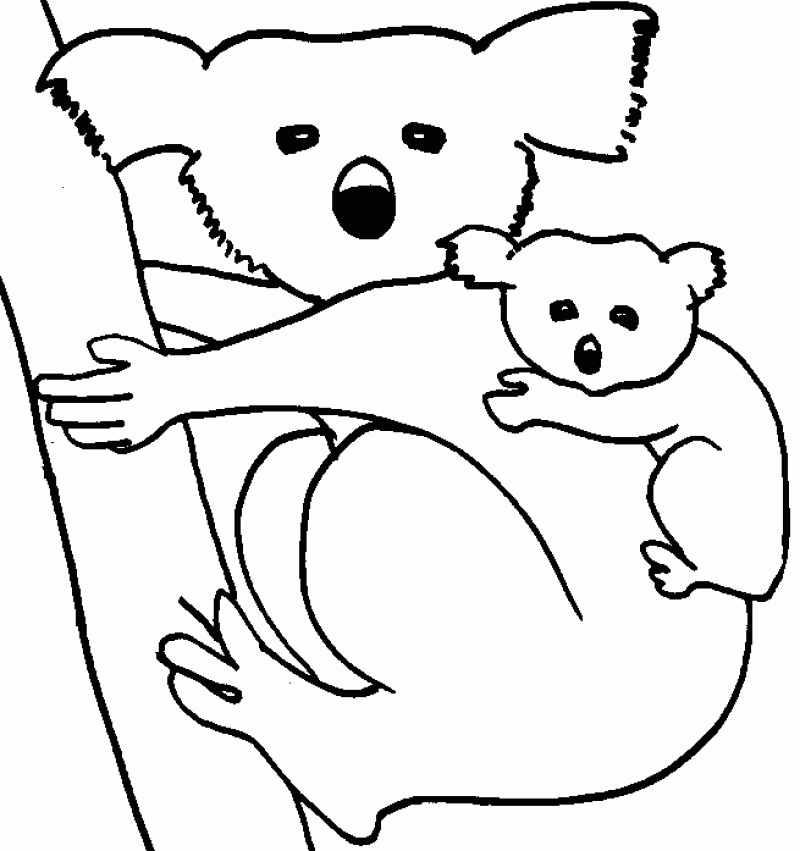Koala Coloring Pages - HD Printable Coloring Pages