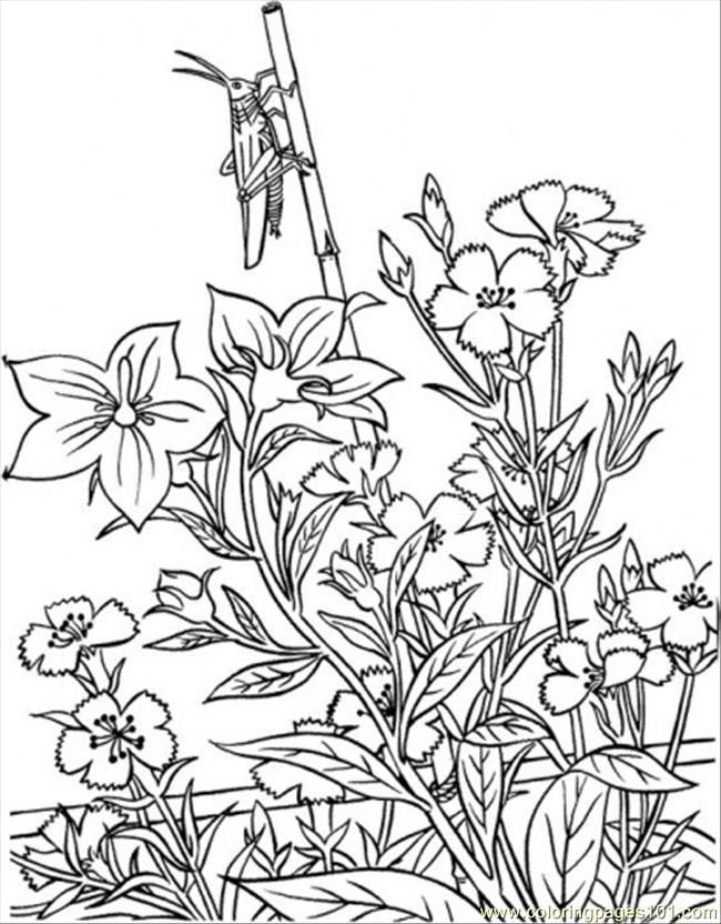 Flower Garden Coloring Page | Best | Pictures | Wallpaper | Images