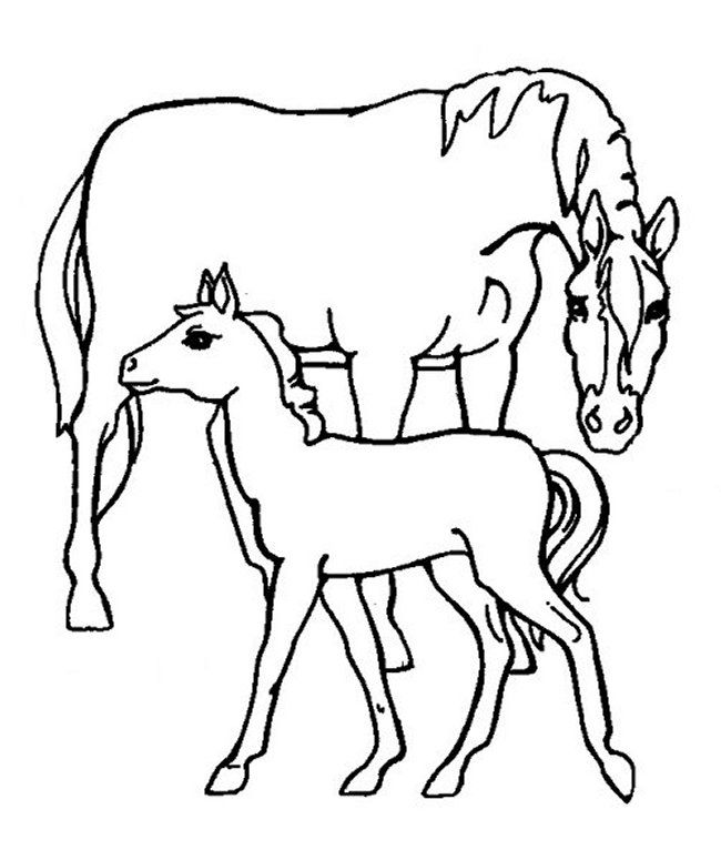 19 Horses For Coloring Pages | Free Coloring Page Site