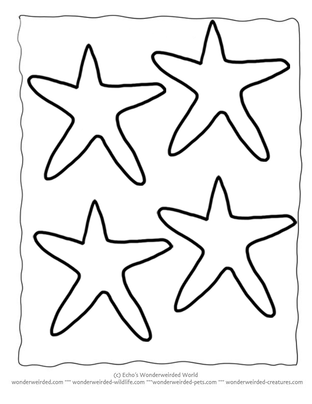 Paper star fish template | Easy Animal Crafts