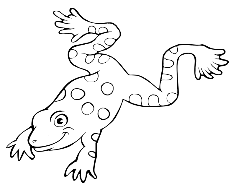 Tree Frog Coloring Page