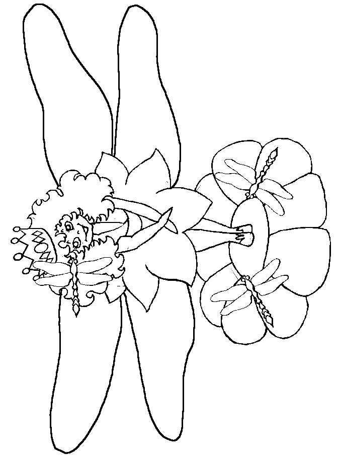 dragonfly-coloring-pages-97
