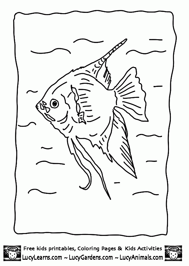 Board Shorts Coloring Pages