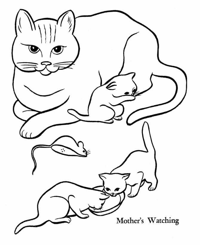 Free Coloring Sheets Cats