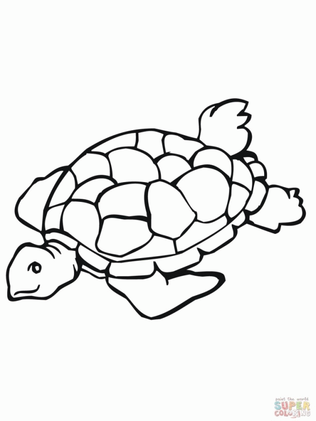 Simple Sea Turtle Coloring Page Ideas | ViolasGallery.