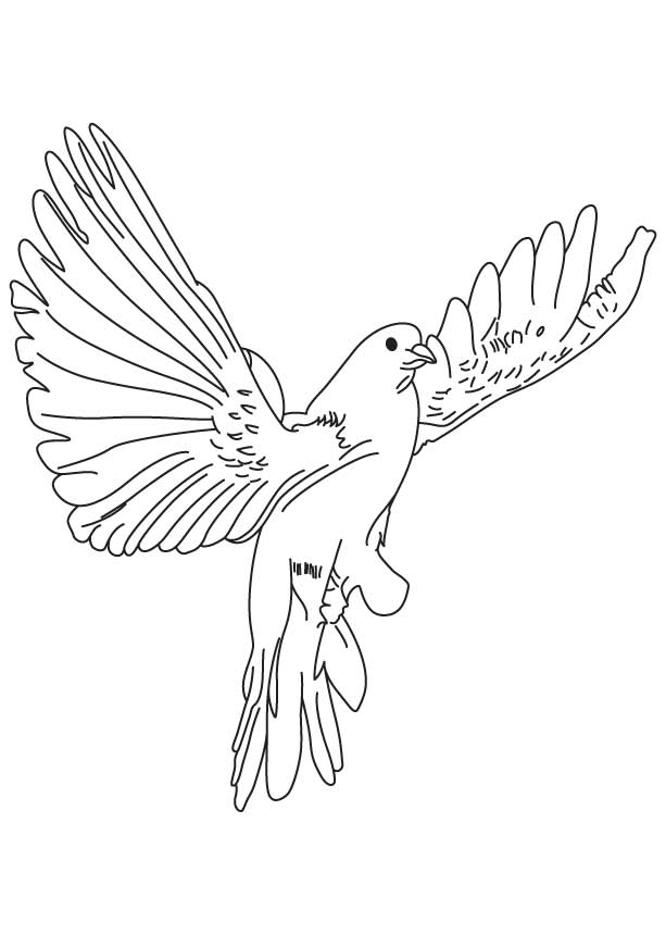 Fast flying dove coloring page | Download Free Fast flying dove