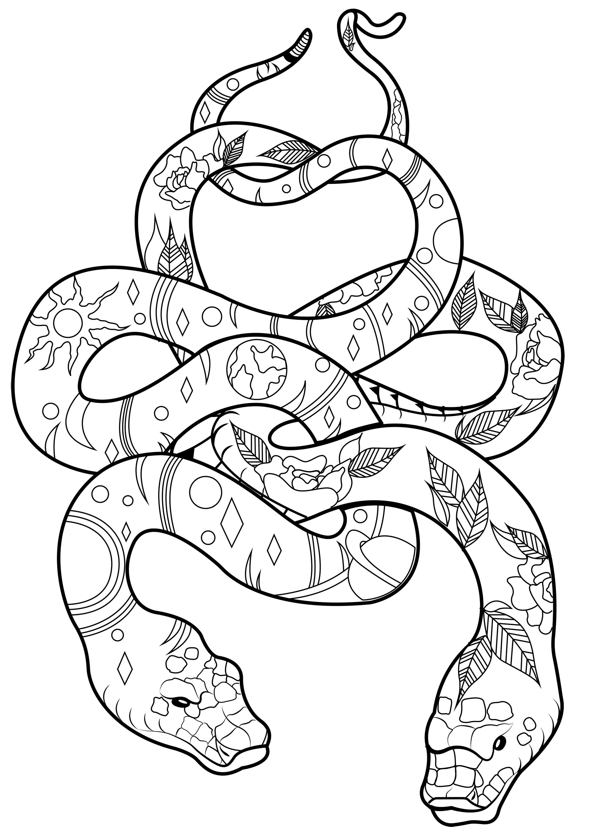 Two Snakes with patterns - Snakes Adult Coloring Pages