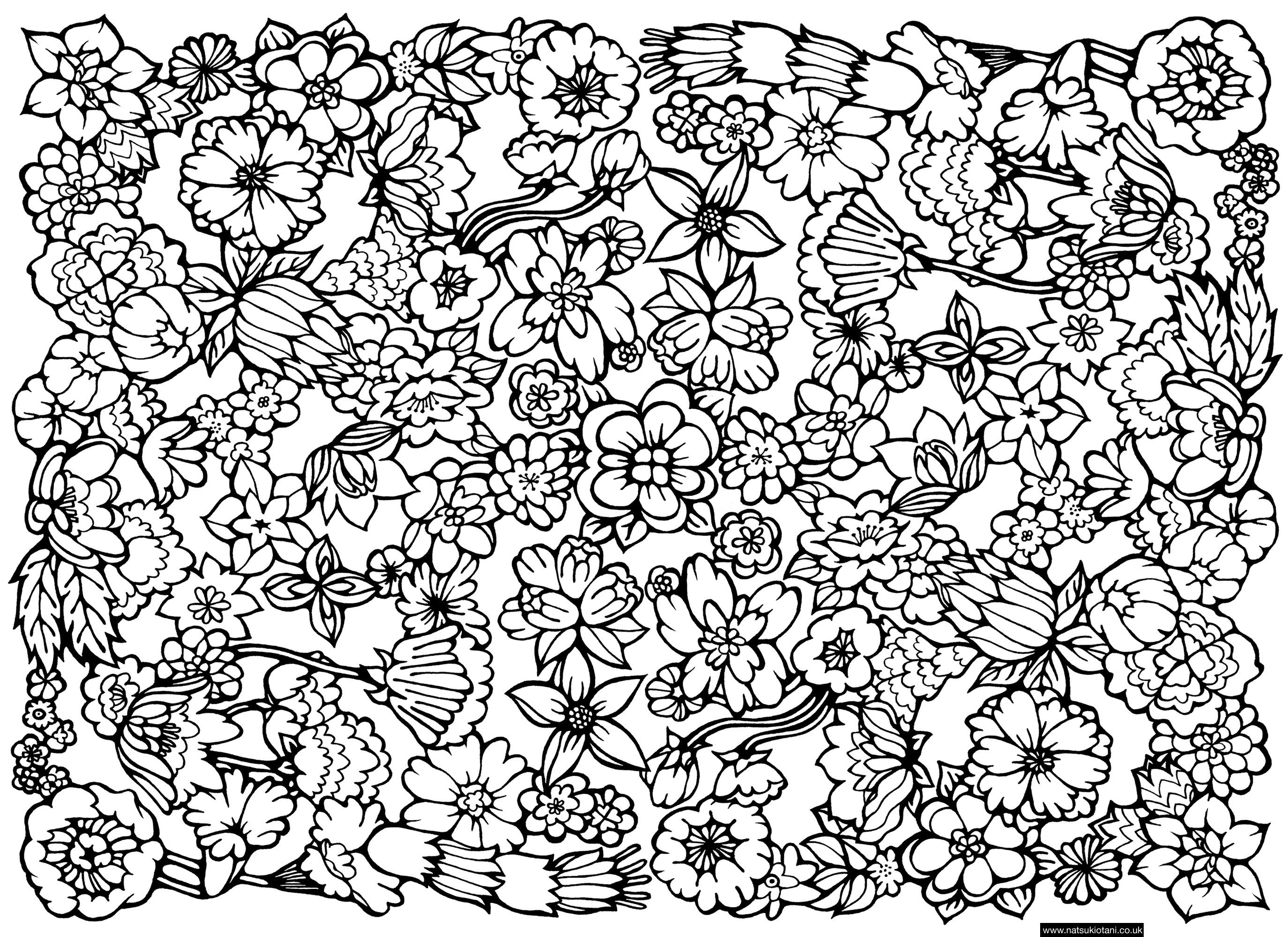Patternng Pages For Adults Free Printable To Print And Color Google Docs  Flowers – Approachingtheelephant