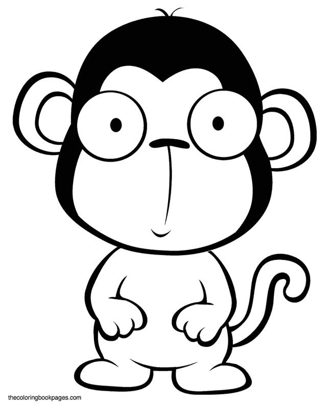 Cute baby monkey - Monkey and gorilla coloring book pages