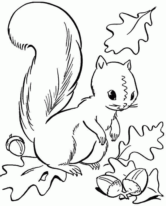 Autumn Season Coloring Pages Free Printable For Preschool 21625#