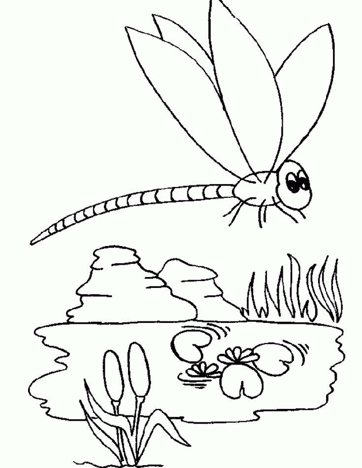Dragonfly In The Water Garden Coloring For Kids - Animal Coloring