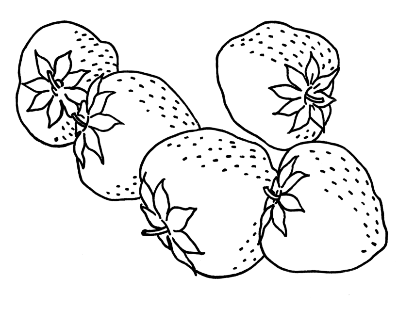 Download Tasteful Strawberry Fruit Coloring Pages Or Print