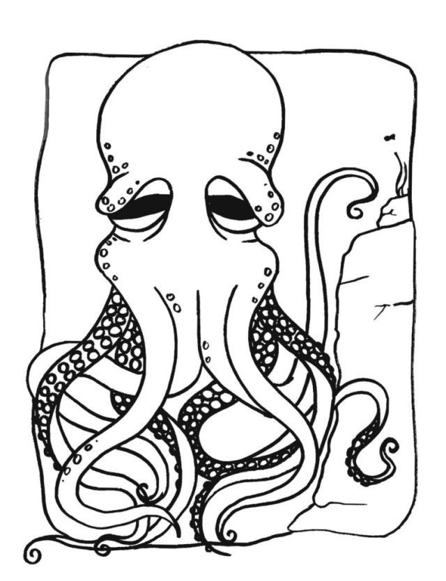 Latest Child Coloring Octopus Drawing | Laptopezine.