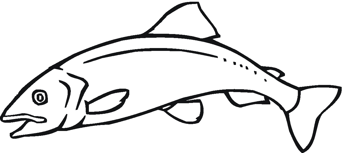 drawing of salmon Colouring Pages