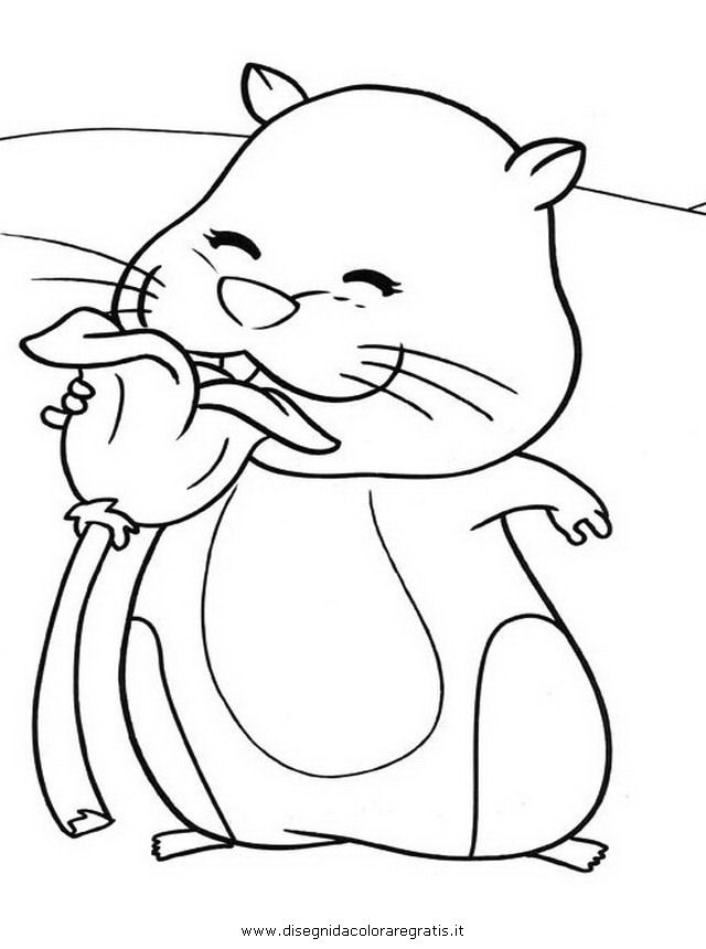 Drawing pets Colouring Pages