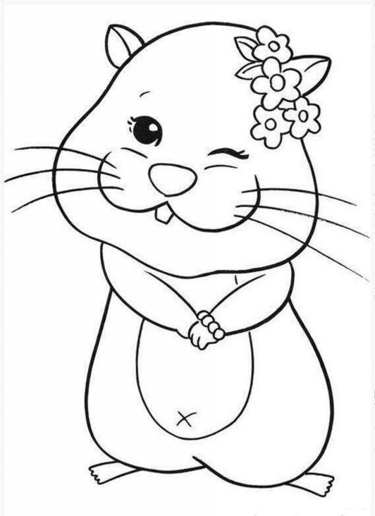 Funny: Cool Zhu Zhu Racoon Pet Coloring Page Coloringplus Picture