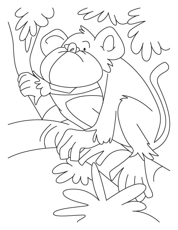 Howler monkey coloring pages | Download Free Howler monkey