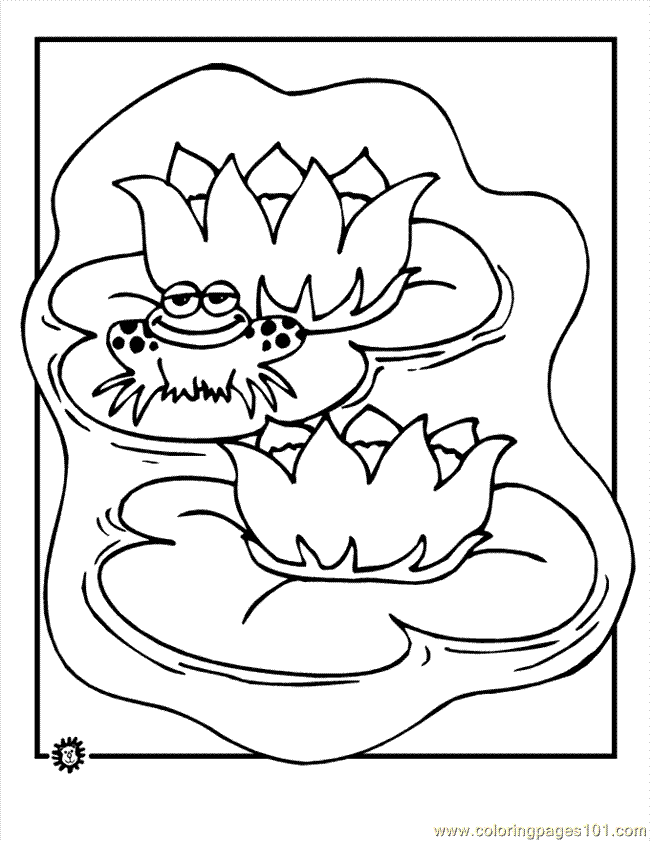 Coloring Page Big Frog Coloring Page Dragonfly Frog Coloring Page