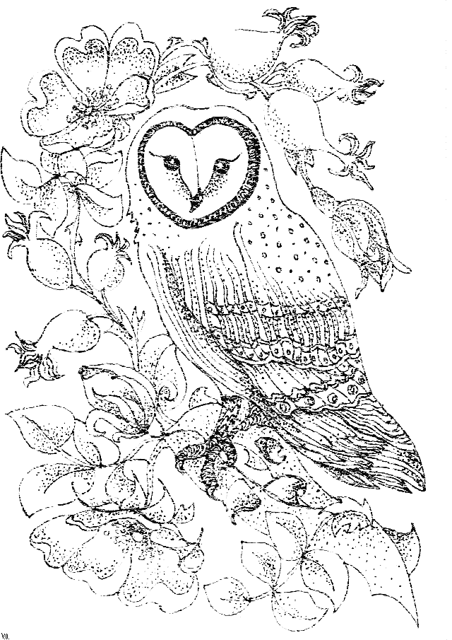 Bird Coloring Pages: Barn Owl and Wild Roses