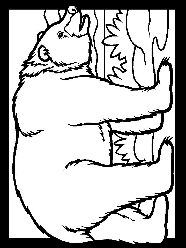Bears Color Bear Animals Coloring Pages & Coloring Book