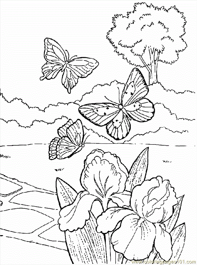 Flowers and animals Colouring Pages