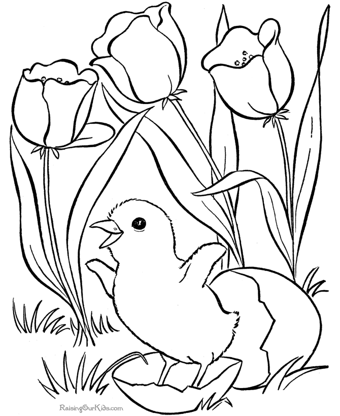 Spring Coloring Pictures For Kids | Free coloring pages