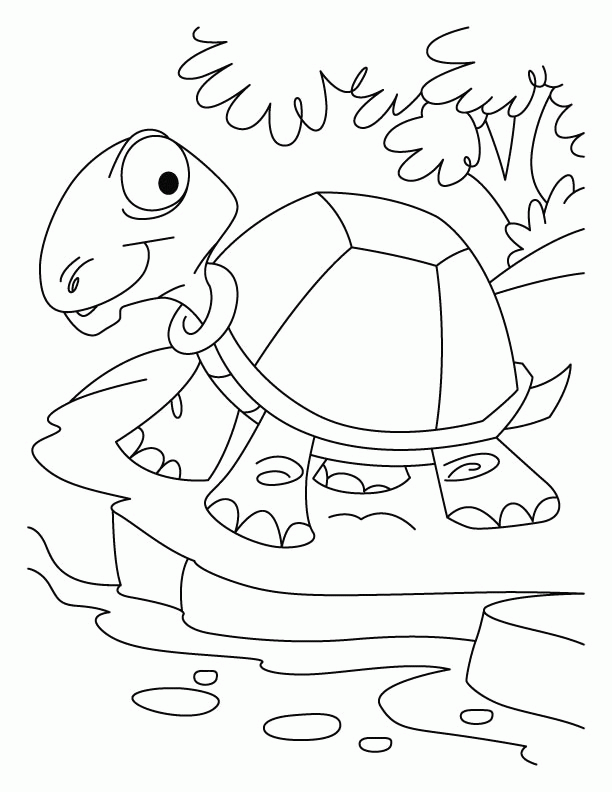 Thirsty tortoise coloring pages | Download Free Thirsty tortoise