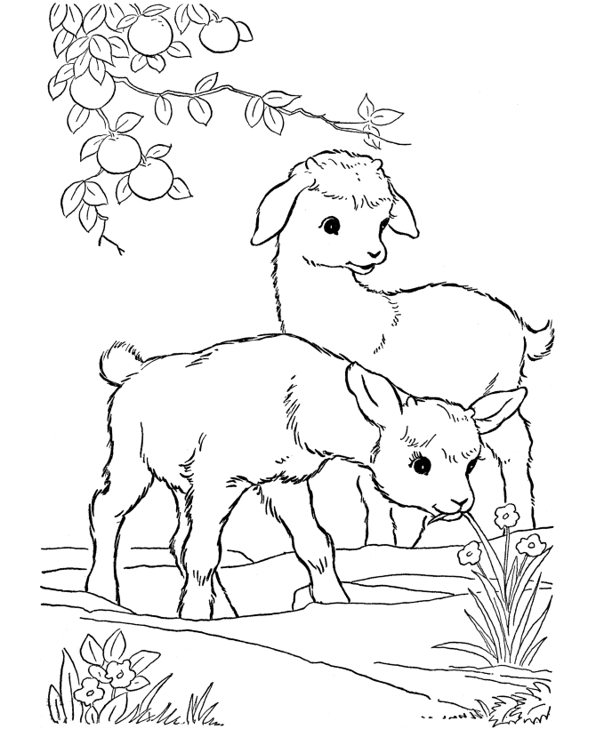 Online Animal Coloring Pages 514 | Free Printable Coloring Pages