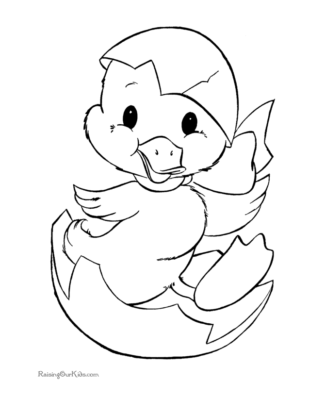 cute ducks Colouring Pages