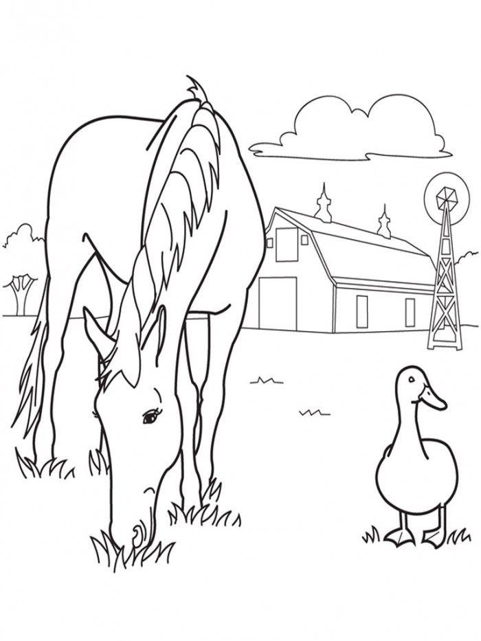 Free Horse Jumping Coloring Pages | 99coloring.com