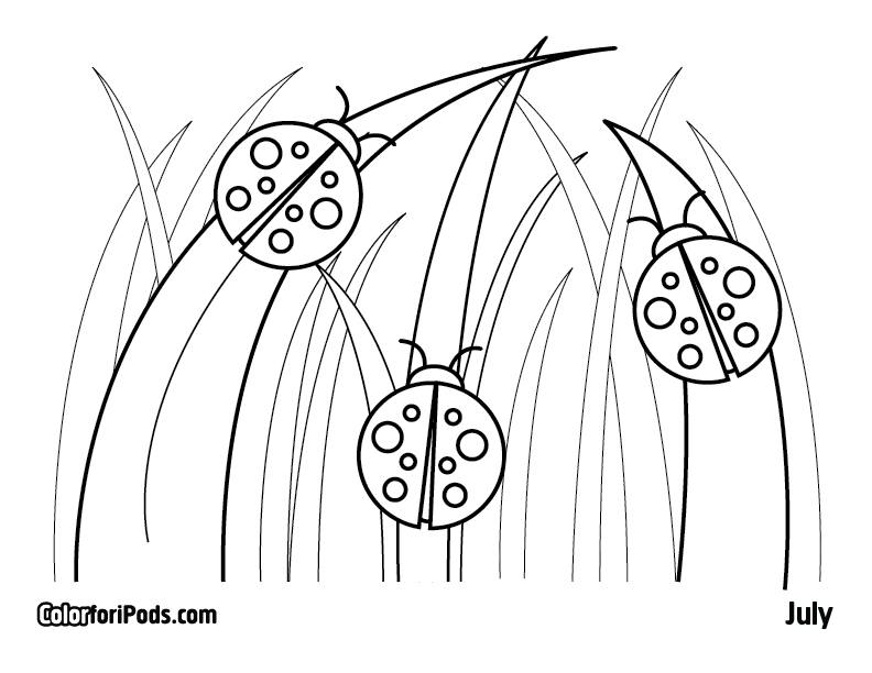 Lady Bug Coloring Page - Free Coloring Pages For KidsFree Coloring