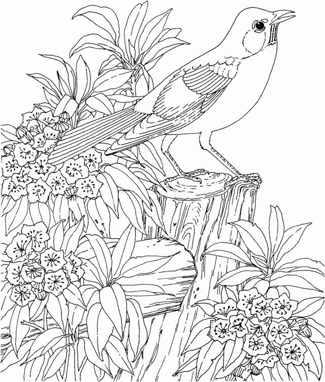 Very Hard Pokemon Coloring Pages Printable Coloring Sheet 290284