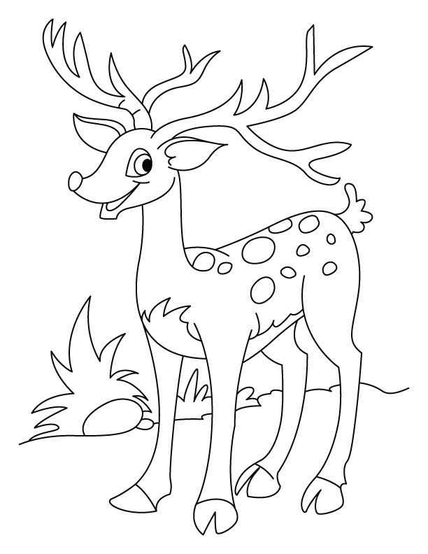 Happy deer coloring page | Download Free Happy deer coloring page