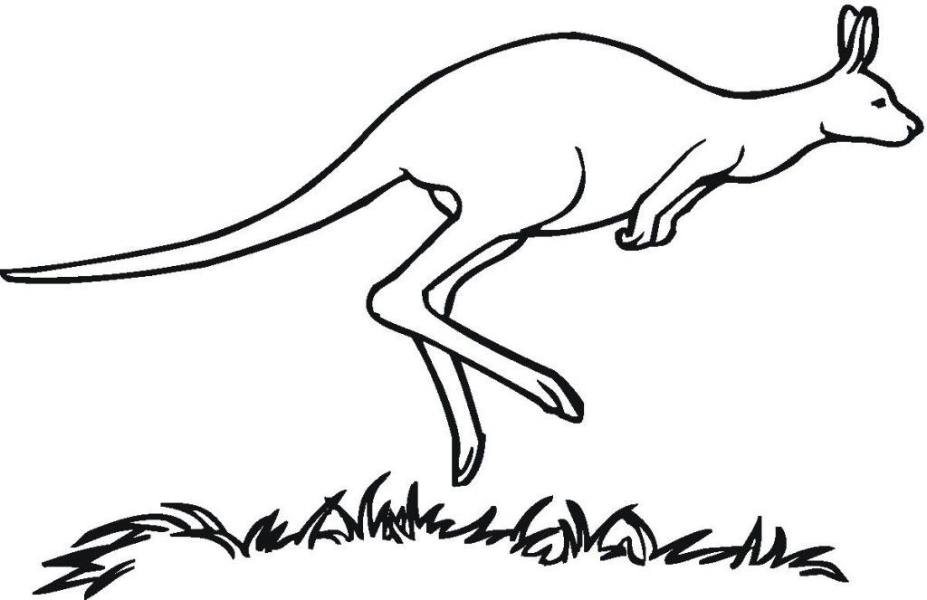 Free Printable Kangaroo Coloring Page For Kids | Coloring Pages