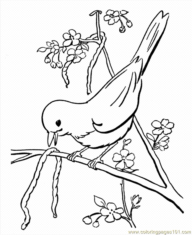 Coloring Pages 03 Spring 20 (Animals > Birds) - free printable