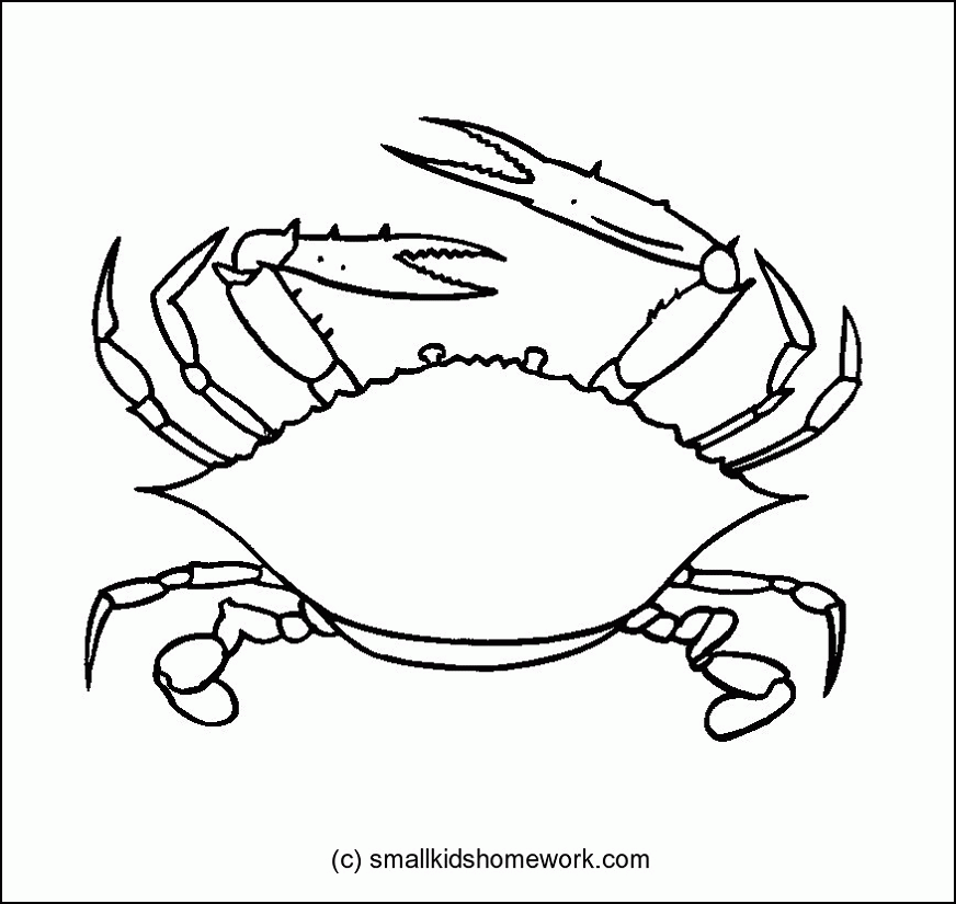 Crab » SmallkidsHomework.com