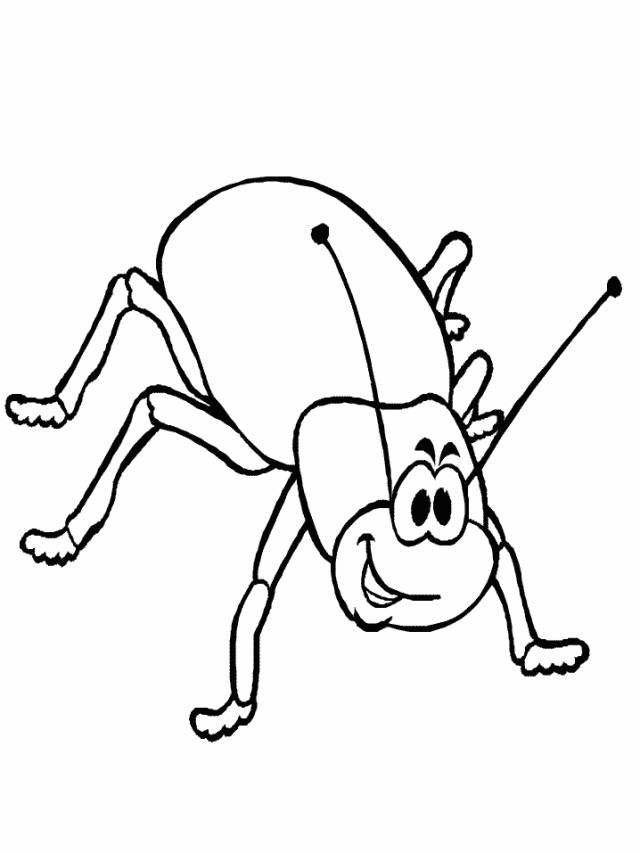 Funny beetle insect coloring pages for kids – Preschool | coloring