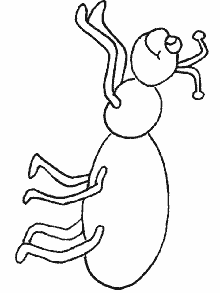 Animals # Ant Coloring Pages & Coloring Book