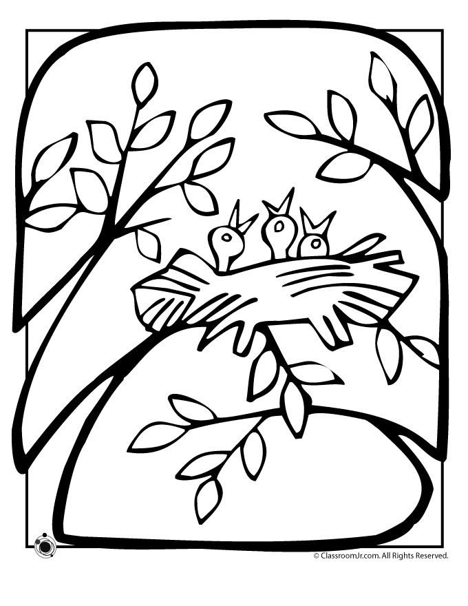 spring coloring pages birds nest page classroom jr
