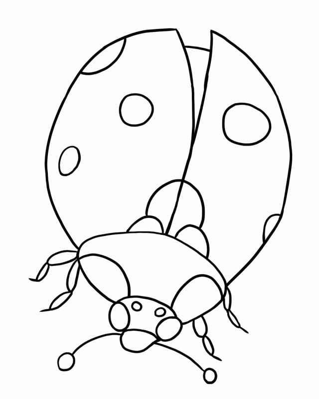 Bugs Coloring Pages And Sheets Can Be Found In The Color Page