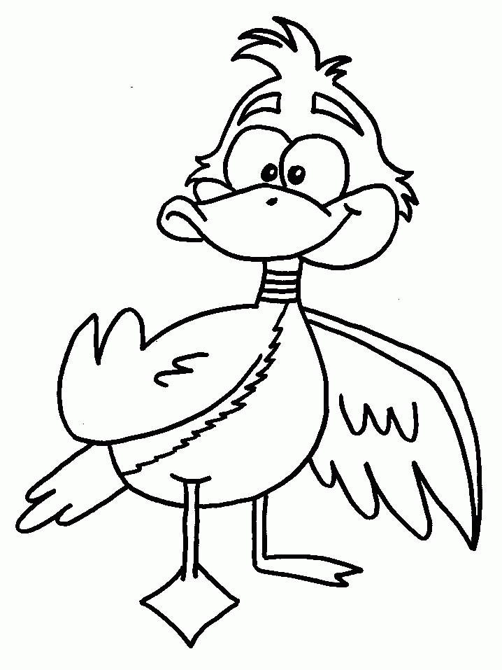 Ducks - 999 Coloring Pages