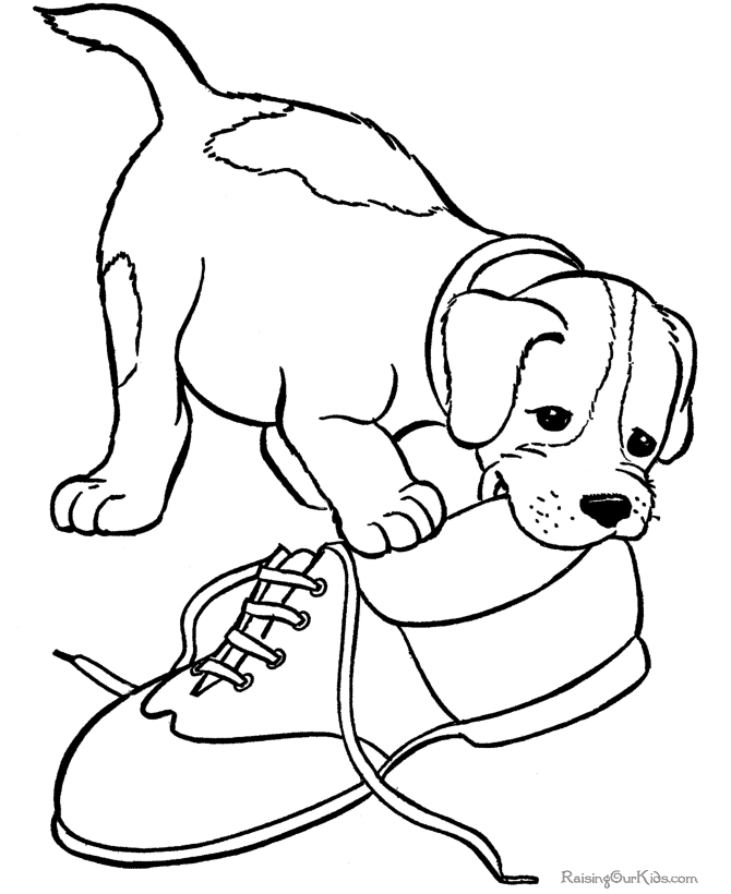 Pin by 21st CenturyPet on Kids and Pets Coloring Pages