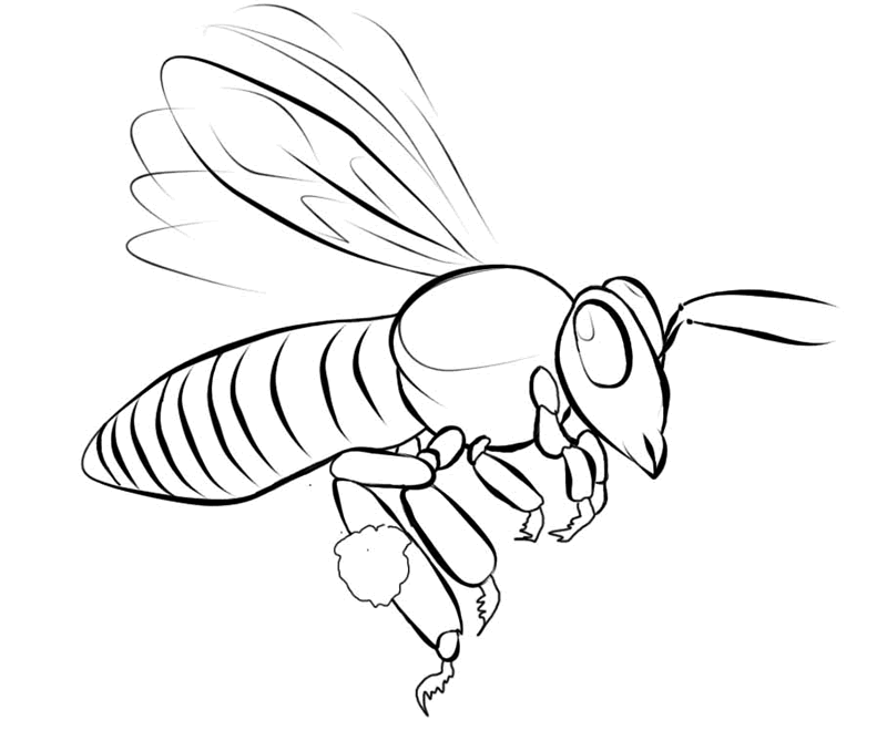 FREE Bee Coloring Picture 7