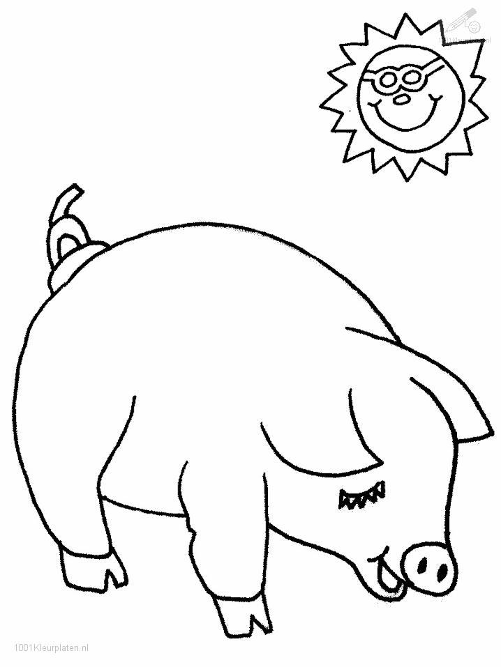 picture of pig Colouring Pages