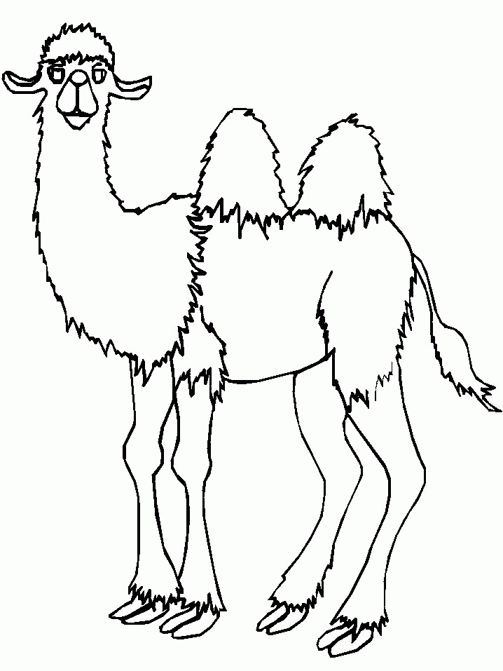 Camel Coloring Pages 58 | Free Printable Coloring Pages